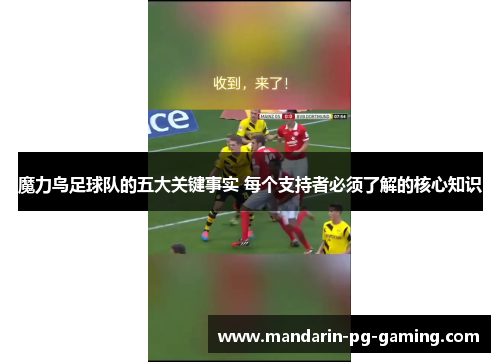 魔力鸟足球队的五大关键事实 每个支持者必须了解的核心知识