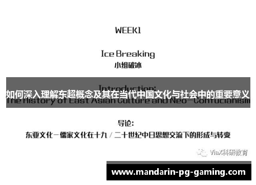 如何深入理解东超概念及其在当代中国文化与社会中的重要意义