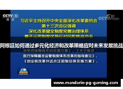 阿根廷如何通过多元化经济和改革策略应对未来发展挑战