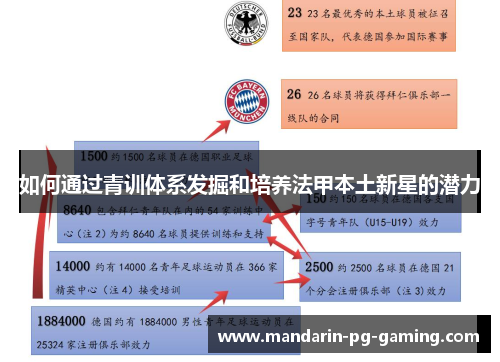 如何通过青训体系发掘和培养法甲本土新星的潜力