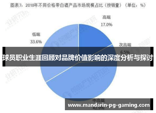 球员职业生涯回顾对品牌价值影响的深度分析与探讨