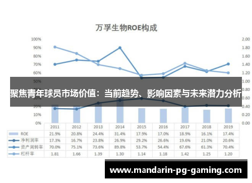 聚焦青年球员市场价值：当前趋势、影响因素与未来潜力分析