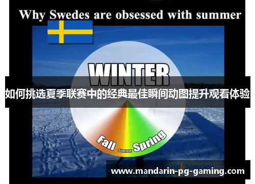 如何挑选夏季联赛中的经典最佳瞬间动图提升观看体验