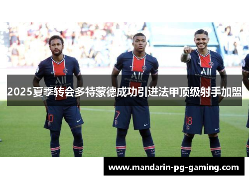 2025夏季转会多特蒙德成功引进法甲顶级射手加盟
