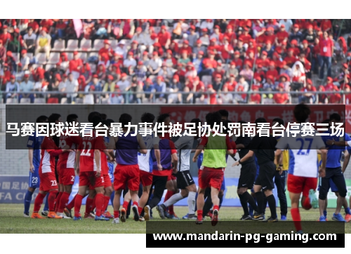 马赛因球迷看台暴力事件被足协处罚南看台停赛三场