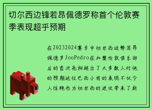 切尔西边锋若昂佩德罗称首个伦敦赛季表现超乎预期